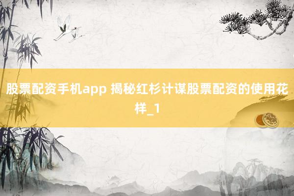 股票配资手机app 揭秘红杉计谋股票配资的使用花样_1